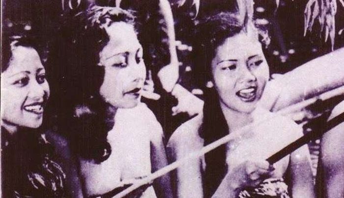 Kupu-kupu malam