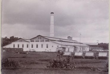 Riwayat Industri Gula Yogyakarta